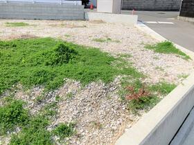 徳島県徳島市かちどき橋６丁目