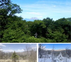 長野県北佐久郡軽井沢町大字軽井沢