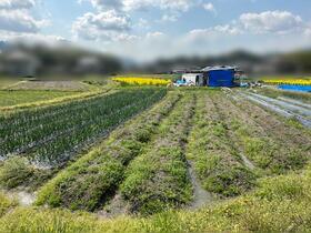 京都府亀岡市曽我部町穴太河原口