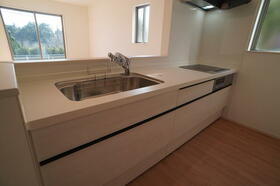 福岡県福岡市南区向新町１丁目