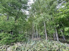 北海道斜里郡清里町字江南