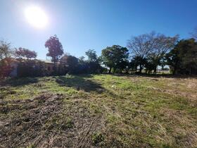 千葉県木更津市大寺