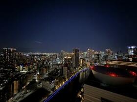 ザ・パークハウス中之島タワー