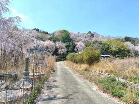 徳島県徳島市渋野町辻西