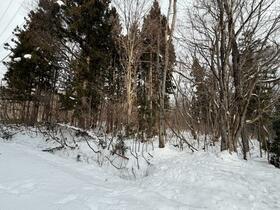 長野県上水内郡飯綱町大字川上