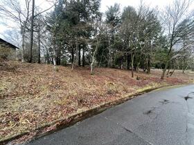 静岡県富士宮市猪之頭