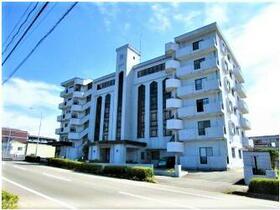 オリンピア桜川