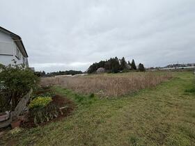 茨城県稲敷市江戸崎甲
