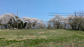 滋賀県高島市今津町深清水