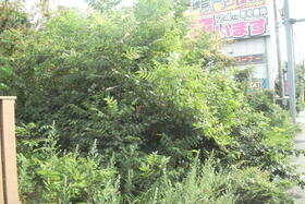 茨城県牛久市柏田町