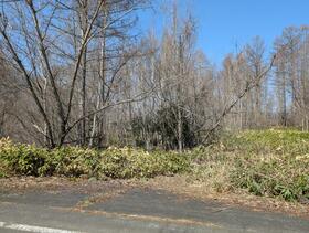 北海道沙流郡日高町字富岡