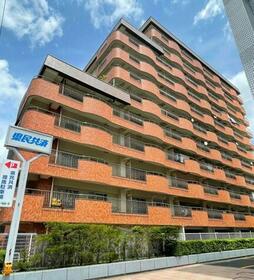 第二マンシヨン菜園