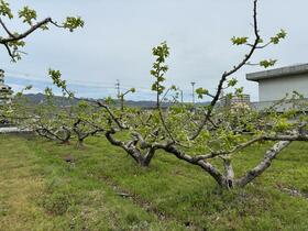 和歌山県岩出市西国分