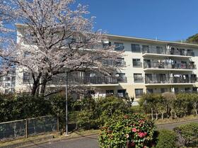 川和団地　１１号棟