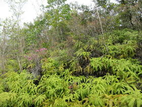三重県志摩市磯部町穴川