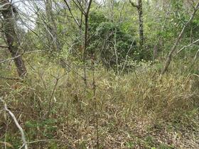 三重県志摩市磯部町穴川