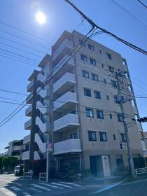 グラビスコート流山