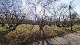 熊本県熊本市南区城南町藤山