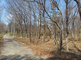 栃木県那須郡那須町大字高久乙