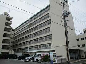 コーポブリューリーブ