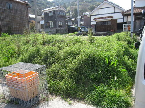 Land, Nagato, Yamaguchi