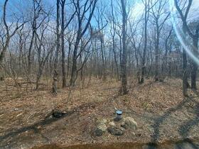 栃木県那須塩原市西岩崎