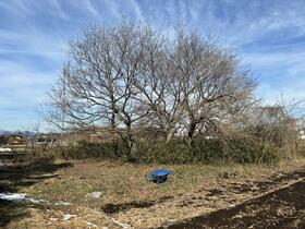 東京都西多摩郡瑞穂町大字箱根ケ崎