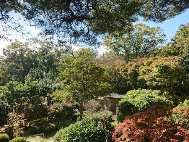 兵庫県芦屋市の一戸建て | 4.5億円 | 11SLDK | 1786.98m² | Akiyama house finder