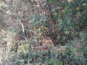 岡山県備前市久々井