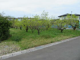 静岡県周智郡森町森