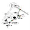  築36年6ヶ月の賃貸物件