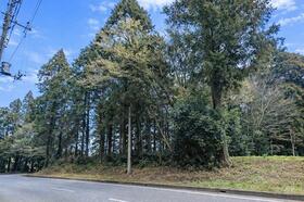 千葉県千葉市若葉区古泉町