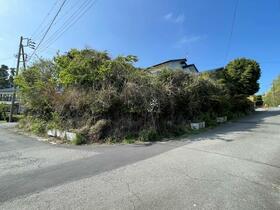 静岡県伊東市八幡野