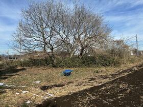 東京都西多摩郡瑞穂町大字箱根ケ崎