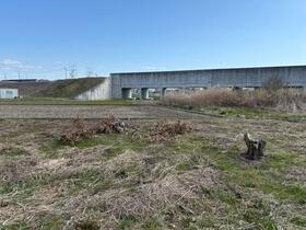 徳島県小松島市田浦町字岩金