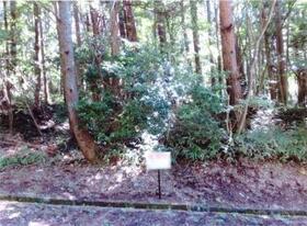 岐阜県中津川市阿木