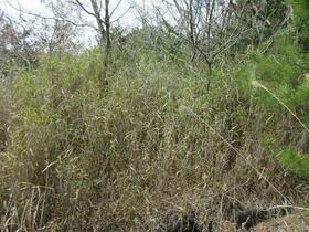 岡山県備前市久々井