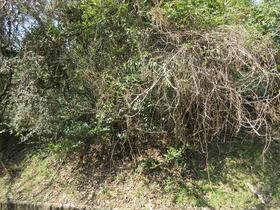 岡山県赤磐市殿谷