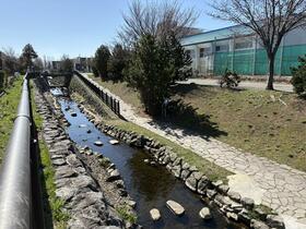 北海道札幌市北区新琴似五条１２丁目