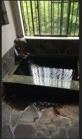 静岡県賀茂郡東伊豆町大川