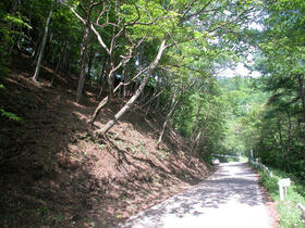 長野県北佐久郡軽井沢町大字軽井沢