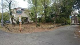 静岡県伊東市八幡野