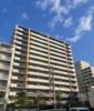 アデニウム新小岩 4階 築14年2ヶ月の賃貸物件
