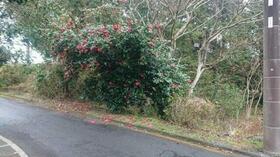 静岡県伊東市富戸