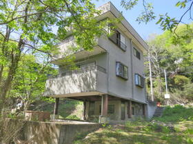 静岡県伊豆市大平柿木