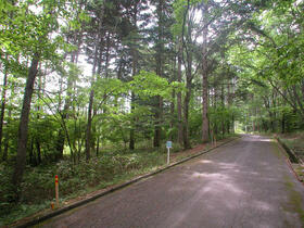 長野県北佐久郡軽井沢町大字発地