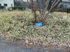 栃木県さくら市フィオーレ喜連川２丁目