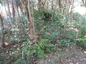 三重県志摩市阿児町立神