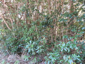 三重県志摩市阿児町立神