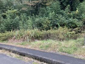 茨城県稲敷郡美浦村大字根火